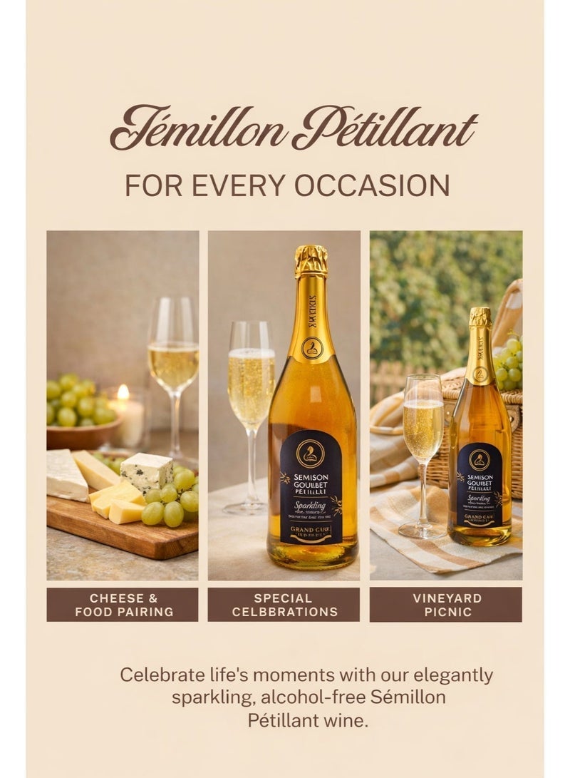 Maison Goubet Semillon Petillant Sparkling Drink 0% Alcohol Non Alcoholic Organic Grapes 750ml - Image 4